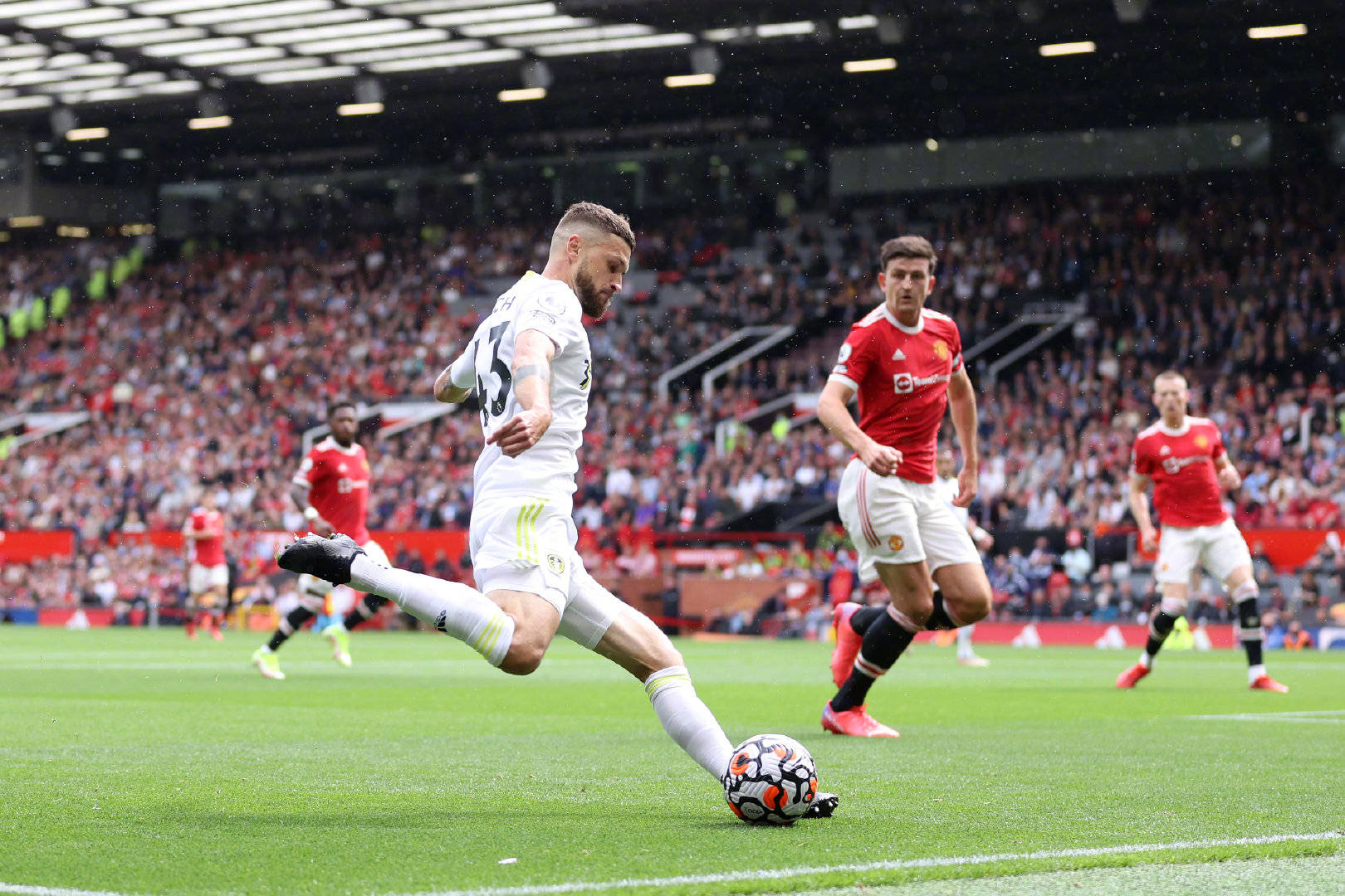 黑洞通常根 黑洞通常根